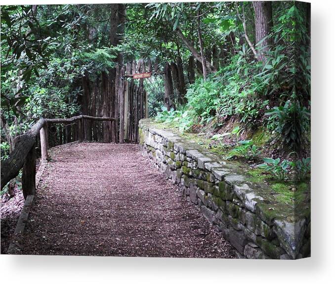 Walk Canvas Print featuring the photograph Nature Trail by Cathy Harper