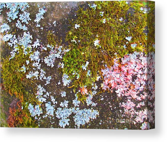 World Canvas Print featuring the photograph Nature's Abstract World by Martin Howard