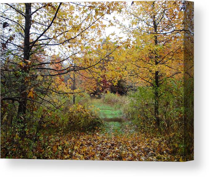 Autumn Landscape Canvas Print featuring the photograph Nature's Expression-12 by Leonard Holland