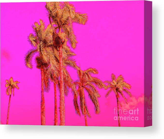 Pop Art Canvas Print featuring the photograph Neon Tropics by Onedayoneimage Photography