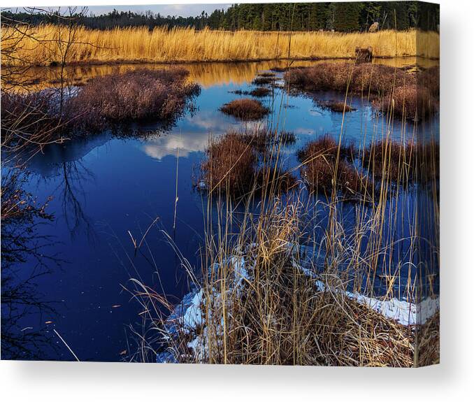 Landscape Canvas Print featuring the photograph NJ Pinelands Savanna Art by Louis Dallara