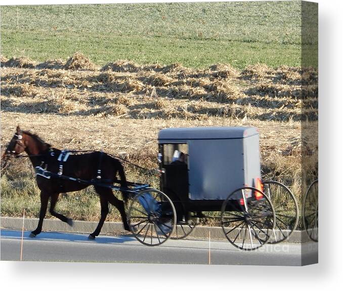 Amish Canvas Print featuring the photograph November Visiting Day by Christine Clark