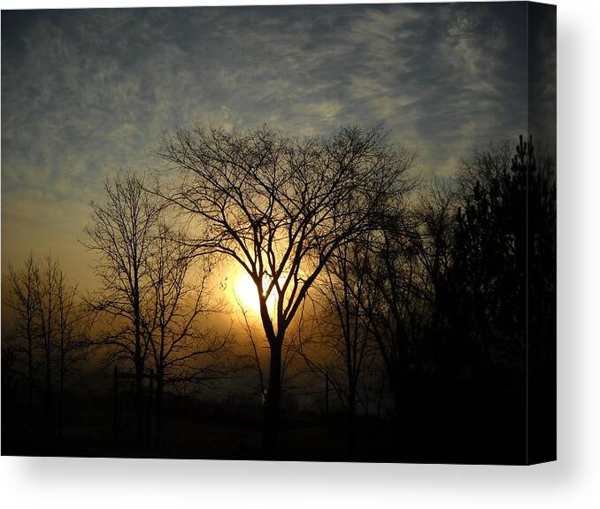 Sunrise Canvas Print featuring the photograph October Sunrise Behind Elm Tree by Kent Lorentzen
