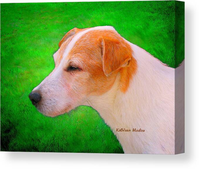 Beagle Art Canvas Print featuring the photograph Old Man Whiskers by Kathleen Modica