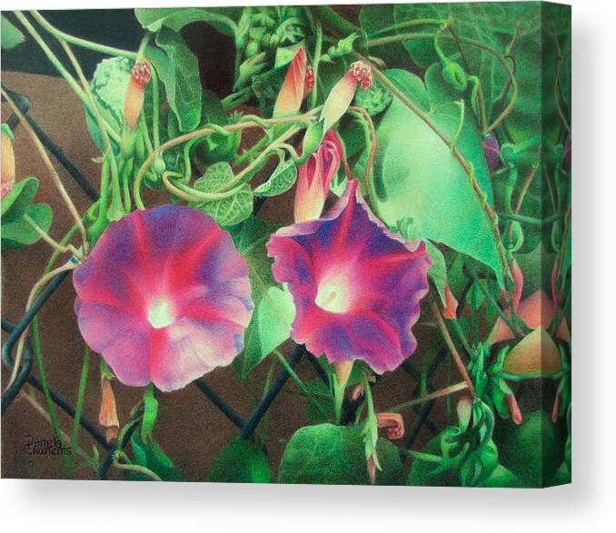 Flowers Canvas Print featuring the drawing On The Fence by Pamela Clements