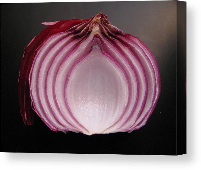 Onion Canvas Print featuring the photograph Onion by Lindie Racz