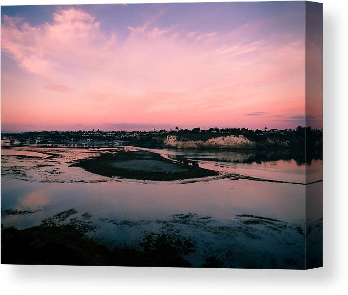 Pale Canvas Print featuring the photograph Pale Pink Serenity by Pamela Newcomb
