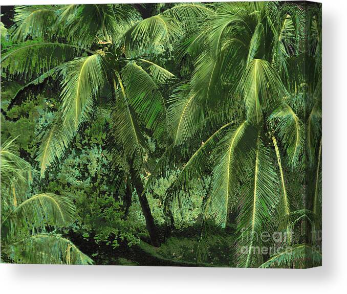 Palm Canvas Print featuring the photograph Palm 1020 by Corinne Carroll
