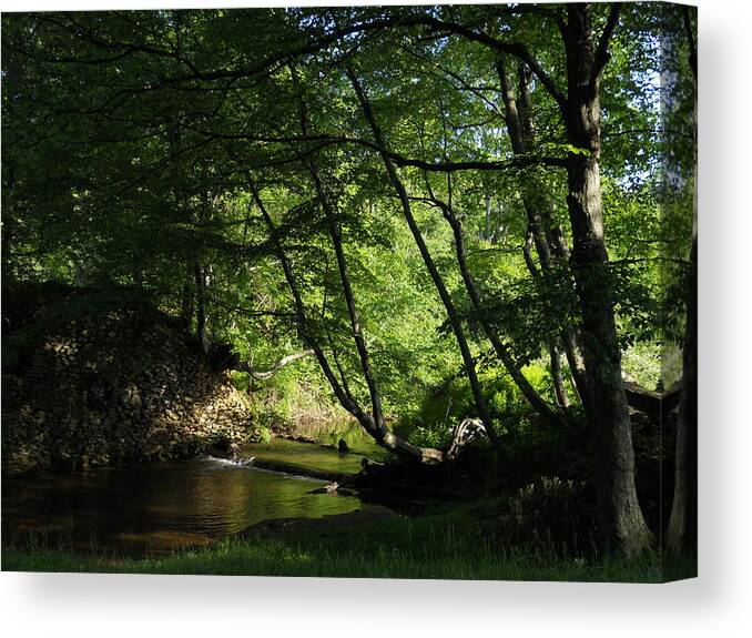 Peace Canvas Print featuring the photograph Peaceful Mountain Stream by Diannah Lynch