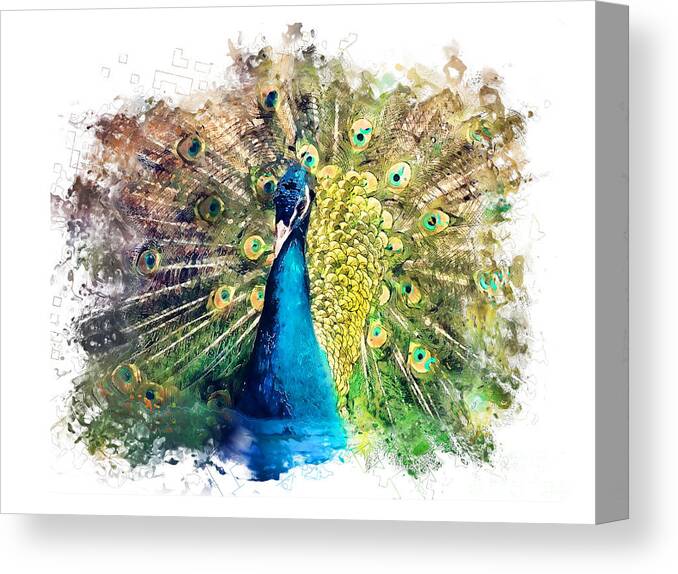 Peacock Canvas Print featuring the painting Peacock watercolor painting by Justyna Jaszke JBJart