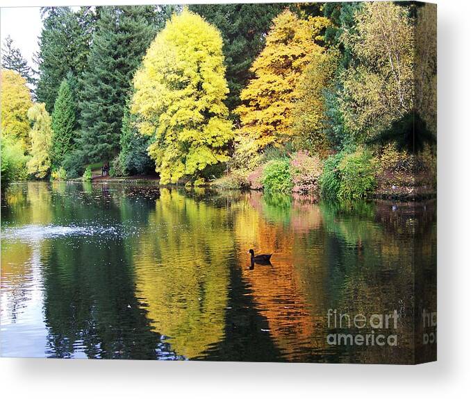 Pond Canvas Print featuring the photograph Perfect Autumn Day by Julie Rauscher