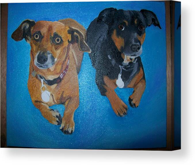 Datson Canvas Print featuring the painting Pet Portrait Original Oil Painting on Canvas by Pigatopia by Shannon Ivins