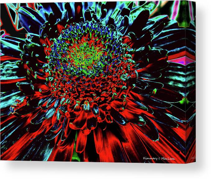 Fire Canvas Print featuring the digital art Petals of Fire and Ice by Kimmary MacLean