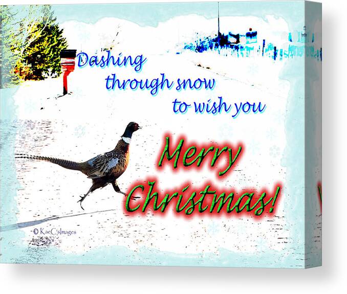 Greeting Card Canvas Print featuring the digital art Pheasant Greeting by Kae Cheatham