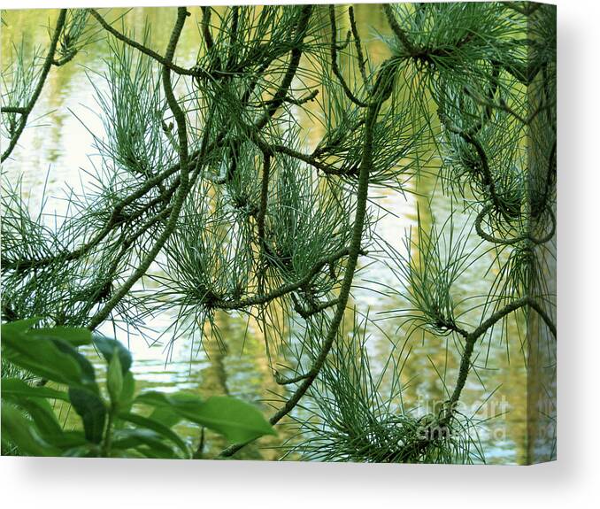 Green Canvas Print featuring the photograph Pine needles Patchwork by Kim Tran