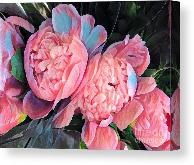 Pink And A Little Blue Canvas Print featuring the photograph Pink and a Little Blue - Colors from my Garden by Miriam Danar
