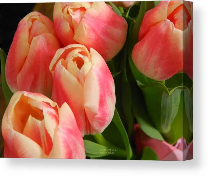 Tulip Canvas Print featuring the photograph Pink Delight by Karen Mesaros