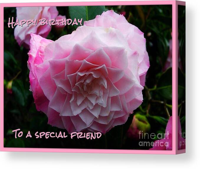 Birthday Greetings Canvas Print featuring the photograph Pink Flower Birthday Greeting by Joan-Violet Stretch