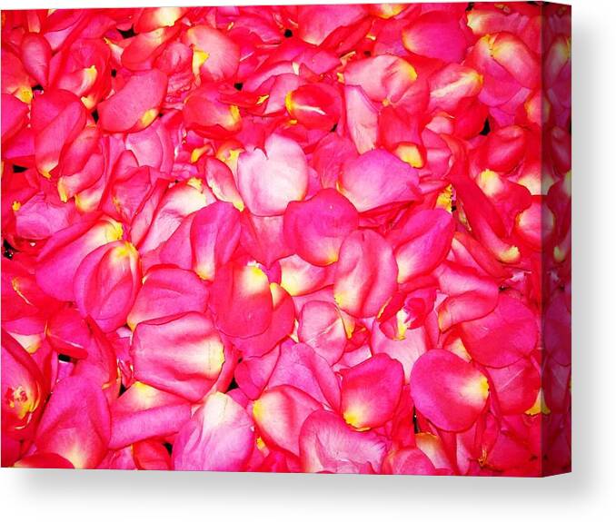 Nature Canvas Print featuring the photograph Pink by Jacqueline Doulis