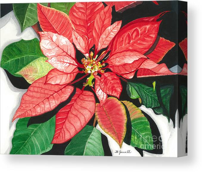 Red Flower Canvas Print featuring the painting Poinsettia, Star of Bethlehem by Barbara Jewell