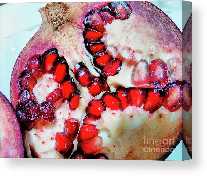 Pomegranate Canvas Print featuring the photograph Pomegranate  by Jolanta Anna Karolska