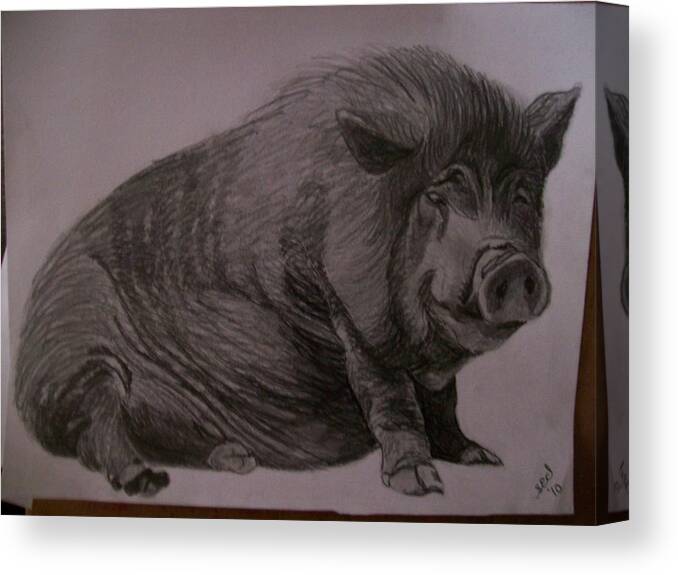 Sketch Canvas Print featuring the drawing Portrait Pencil Sketch U Provide Picture by Pigatopia by Shannon Ivins