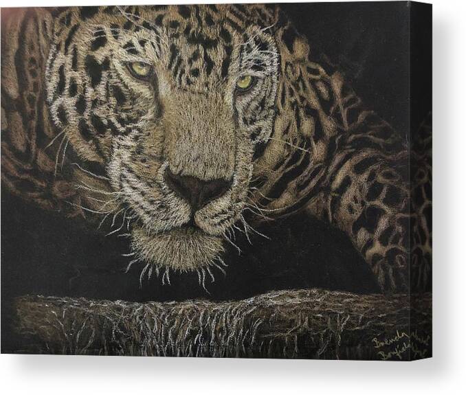 Jaguar Canvas Print featuring the painting Predator by Brenda Bonfield