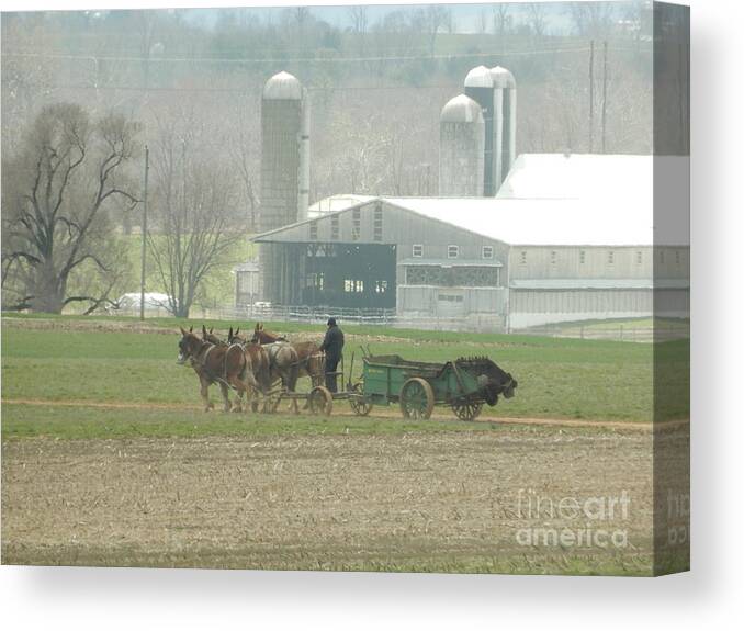 Amish Canvas Print featuring the photograph Preparing the Field-Two by Christine Clark