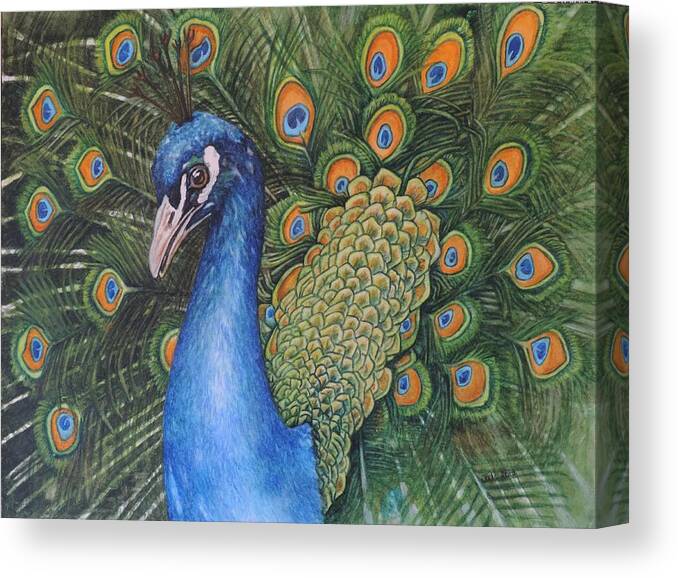 Peacock Canvas Print featuring the painting Pretty as a Peacock by Jodi Higgins