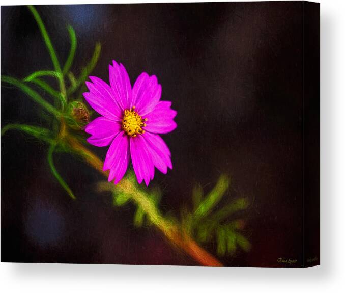 Pink Flower Canvas Print featuring the photograph Pretty Pink Flower by Anna Louise