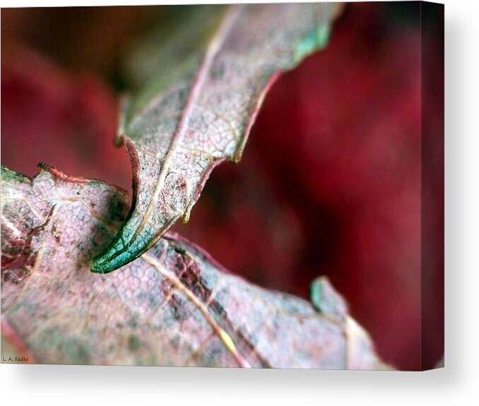 Macro Canvas Print featuring the photograph Promise by Lauren Radke