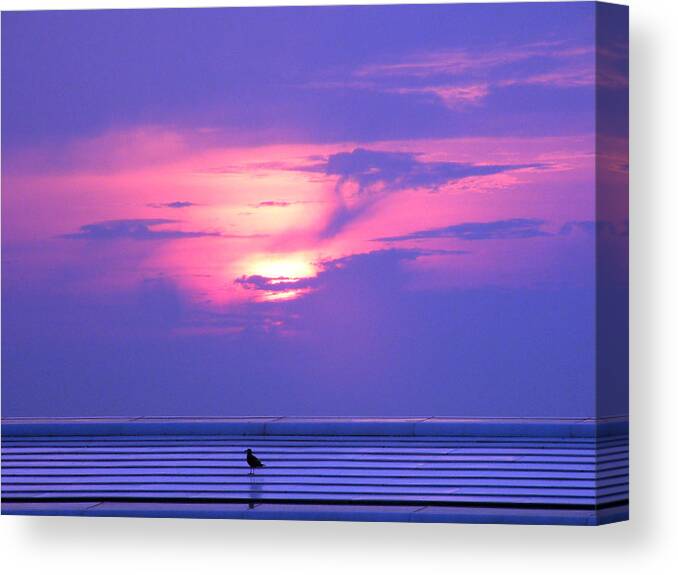 Sunrise Canvas Print featuring the photograph Purple Morning by Thomas Pipia