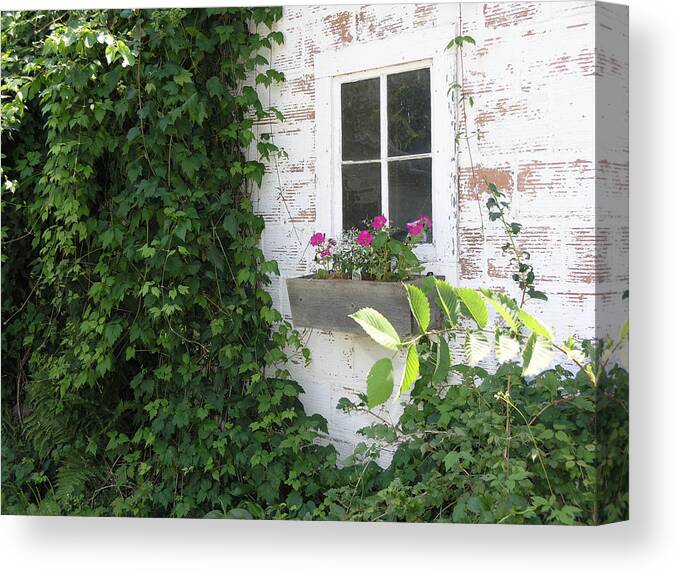 Cottage Canvas Print featuring the photograph Quaint Cottage at the Farm by Janis Beauchamp