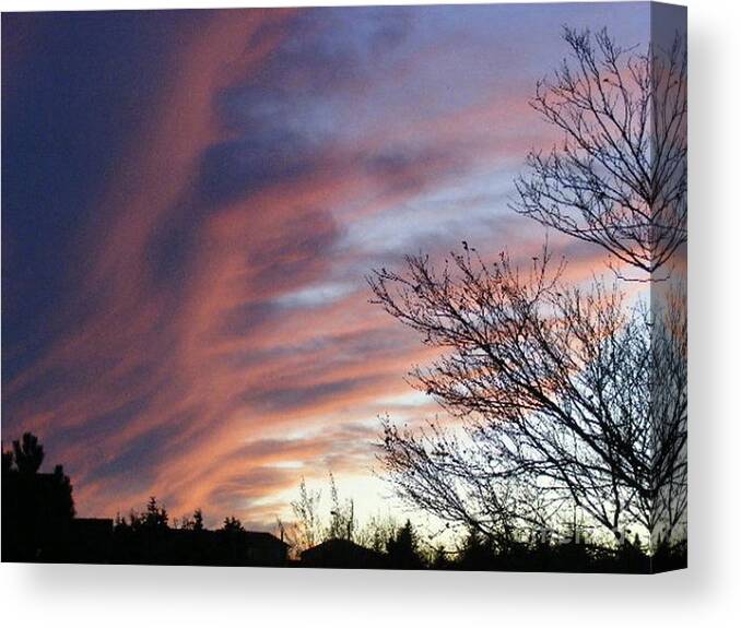 Blue Sky Canvas Print featuring the photograph Raging Sky by Barbara A Griffin