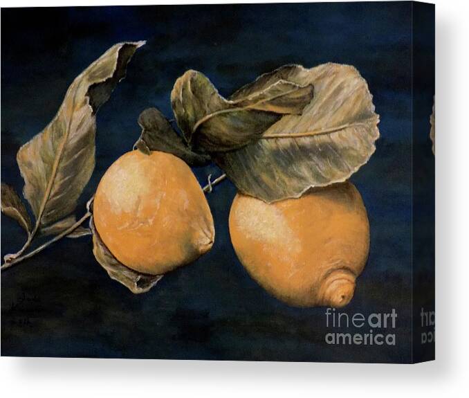 Lemons Canvas Print featuring the painting Ready for Picking by Judy Kirouac