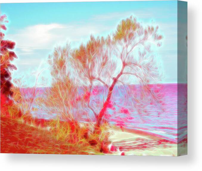 Beach Canvas Print featuring the photograph Red Glow Beach Tree by Aimee L Maher ALM GALLERY