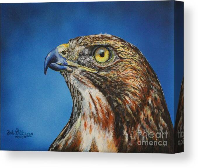Hawk Canvas Print featuring the painting Red-Tailed Hawk......Honor by Bob Williams