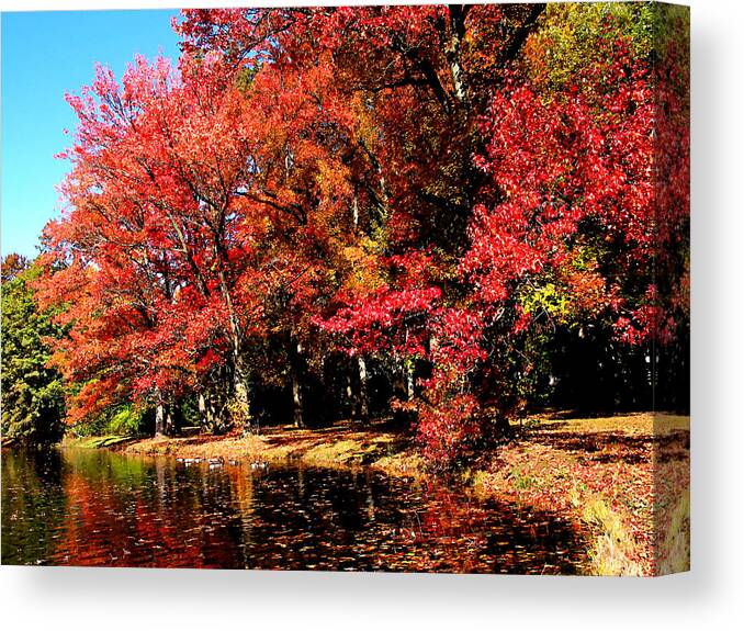 Autumn Canvas Print featuring the photograph Red Trees by Lake by Susan Savad
