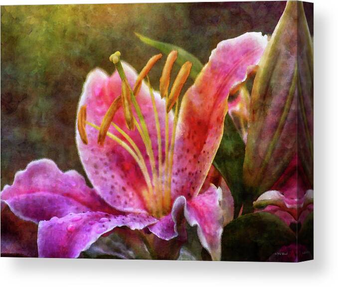 Impressionist Canvas Print featuring the photograph Reflected in the Stars 2563 IDP_2 by Steven Ward