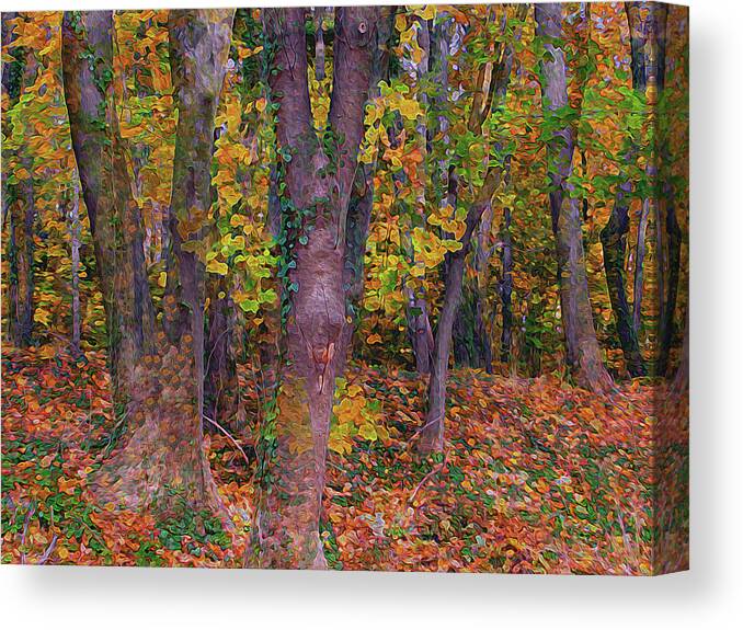  Woods Canvas Print featuring the digital art Replete the Vibrant Wood 8 by Lynda Lehmann