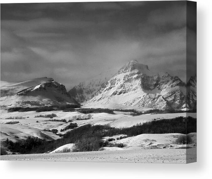 B&w Canvas Print featuring the photograph Rising Wolf Mountain- Winter - Black and White by Tracey Vivar