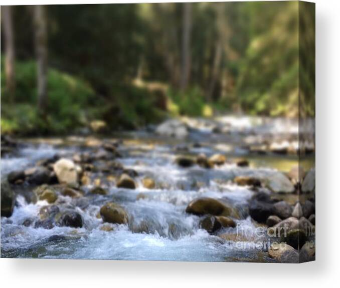 River's Song Canvas Print featuring the photograph River's Song by Carol Riddle