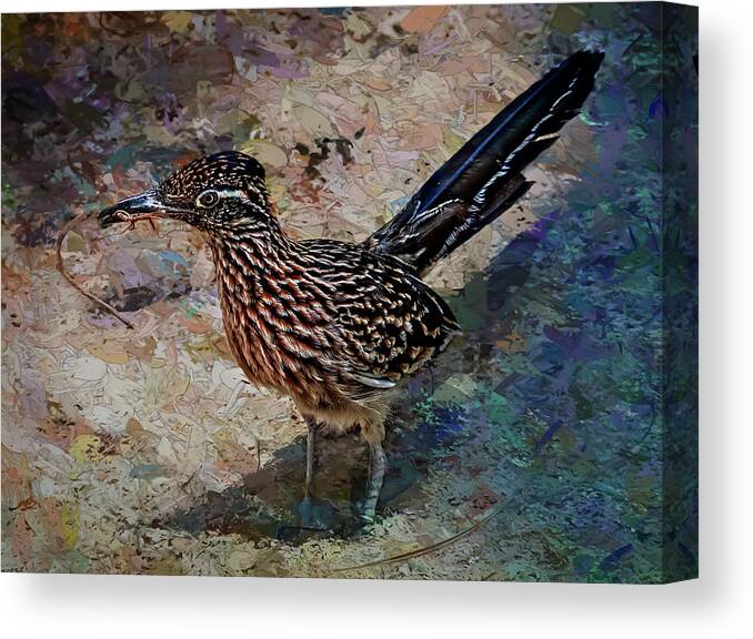 Roadrunner Canvas Print featuring the painting Roadrunner Making Nest by Penny Lisowski