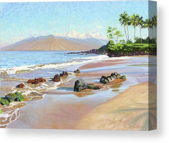 Polo Canvas Print featuring the painting Rocks on Polo Beach by Steve Simon