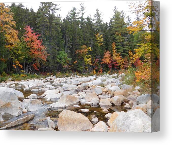 Swift River Canvas Print featuring the photograph Rocky Swift River by Catherine Gagne