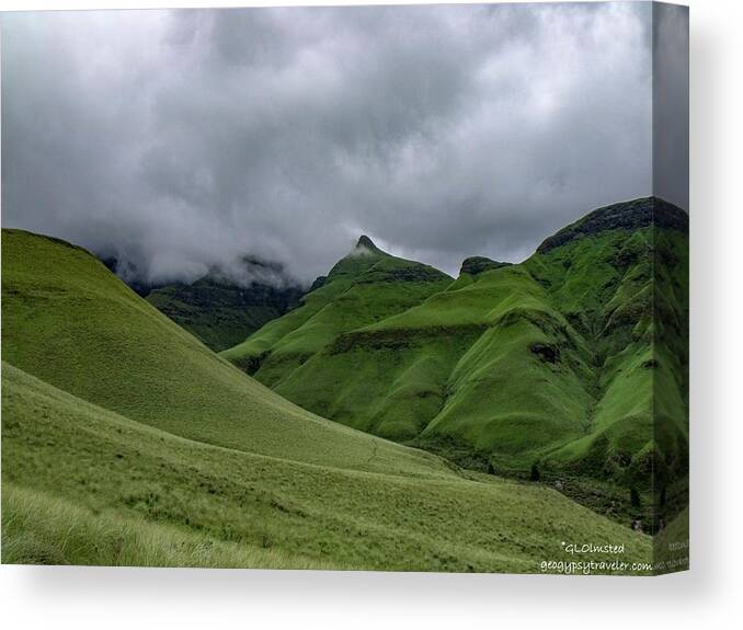 Mountains Canvas Print featuring the photograph Rolling green Drakensberg Mountains by Gaelyn Olmsted