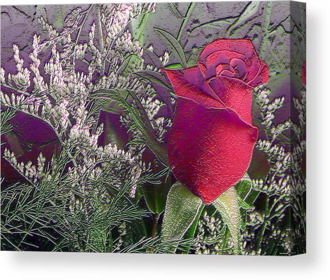 Rose Photography Canvas Print featuring the photograph Rose and babies breath by Evelyn Patrick