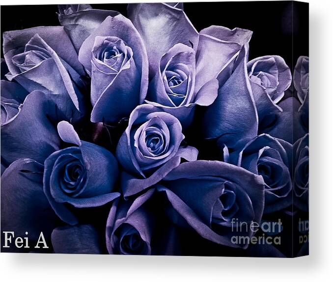Rose Canvas Print featuring the photograph Purple Memories by Fei A