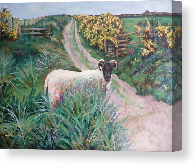 Sheep Canvas Print featuring the painting Rural Peace by Linda Markwardt