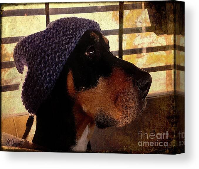 Dogs Canvas Print featuring the digital art Sadie by Rebecca Langen